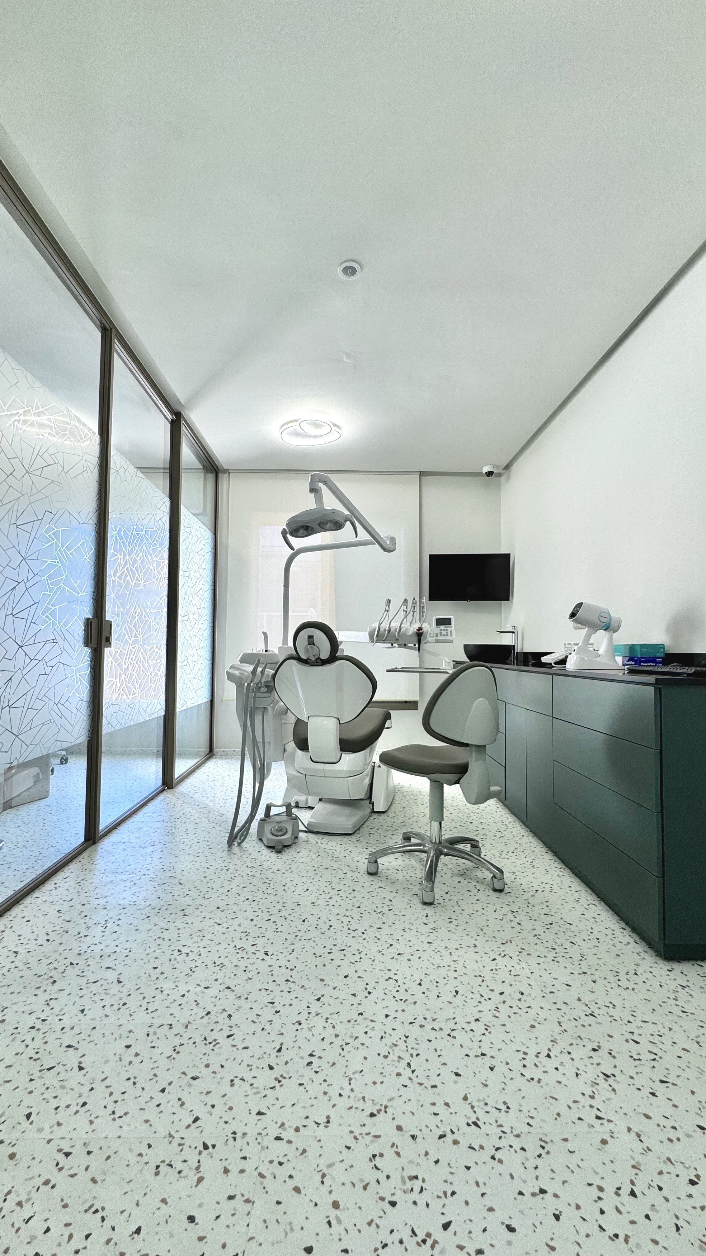 Dentist consulting with a patient